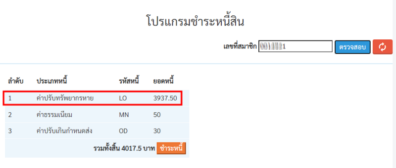 โปรแกรมชำระหนี้สิน